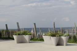 Minimalistické květináče TYPO vyrábí mmcité pomocí 3D tisku jako jedna z prvních firem v České republice