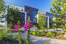 V pražských Řepích vyrostla Rezidence U Boroviček, která nabízí bydlení blízko města i zeleně