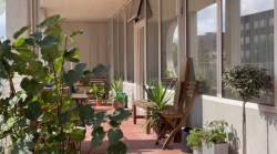 Dům pro umělce v Londýně navrhlo studio Apparata. Umožňuje obyvatelům měnit dispozice bytů, podporuje komunitní život a představuje model flexibilního a sociálně udržitelného bydlení.