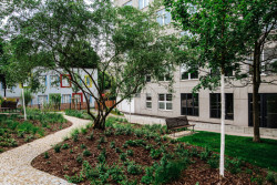 Přibyly nové cesty - mlatové i dlážděné. (ateliér YYYY, park U Uranie)