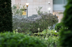 Subtile, Federico Díaz,