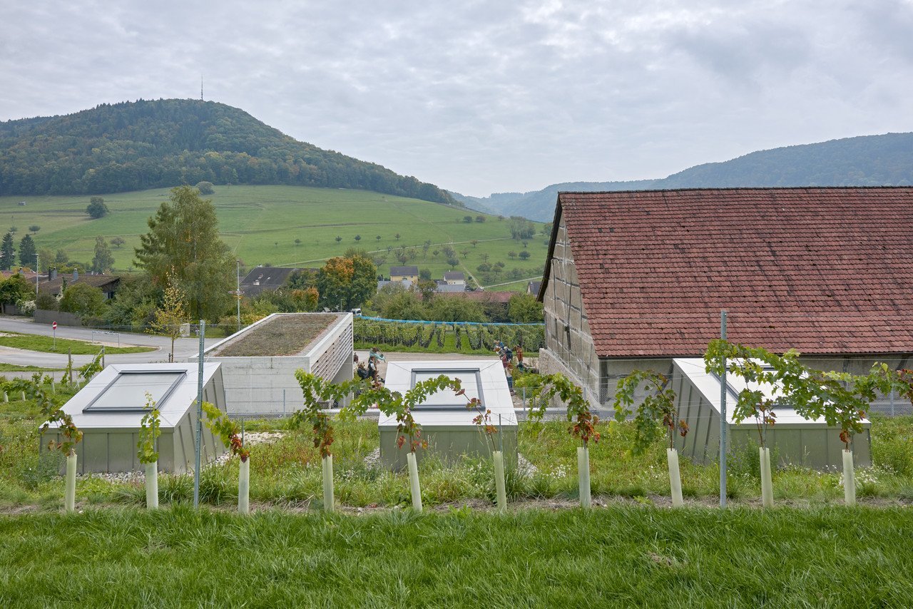 Taneční sál pod vinohradem, SPPA Architekten © Jürg Zimmermann