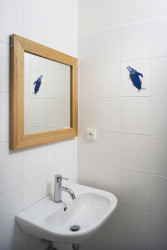 Edit!, Sportovní areál Blanice, Vodňany – foto