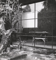 Dům a ateliér Luise Barragána  v Mexico City (1951) od Luise Barragána