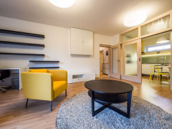 Černá Architektura, Interiér bytu Vídeňská - foto