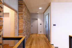 Administrativní budova Partizánske, Prodesi/ Domesi