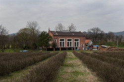 studio NEW WORK, Vestavba bytu do historické průmyslové haly – foto