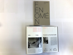 Fenomén: Schody Evy Jiřičné jako umělecký objekt - Petr Volf, Prostor - architektura, interiér, 2019, 88 stran.