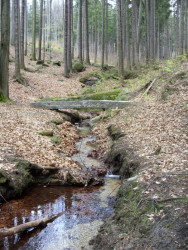 Pomník Achima Šipla, Rudolf Hůlka