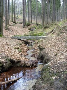 Pomník Achima Šipla, Rudolf Hůlka