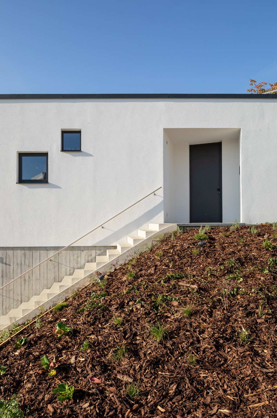 „Ajfon“, DOOOM / Igor Bergmann, Ondřej Lukeš