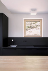 Dům za humny, DDAANN