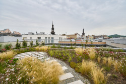 Střechy mají nové domy ploché, částečně zelené. (Bytový dům Nové Lauby v Ostravě, ateliér znamení čtyř - architekti)