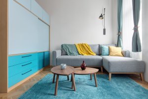 Byt Sekaninova, DESIGNIST – Ivana Šustrová