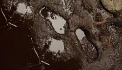 Uhlíková stopa - ilustrační foto.