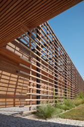 „... a vnitřní husté laťování, které se místy líně sveze, aby zformovalo lavici,“ popisují to architekti ve své autorské zprávě. (Vinařství Kolby v Pouzdřanech, ORA)