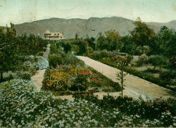 Andrew McNally House