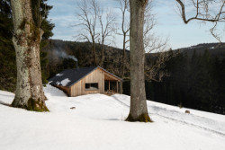 Pařezová chaloupka v Orlických horách od molo architekti