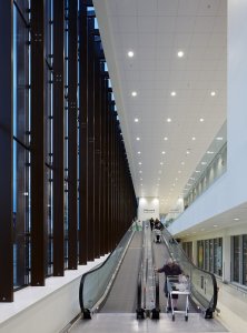Broadway Malyan, Waitrose supermarket - foto