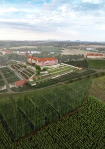 12. ročník, 2019–2020
1. cena: Klára Bohuslavová – ateliér Efler, Revitalizace žatecké chmelařské krajiny v
okolí zámku Stekník
