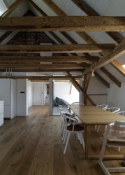 Rekonstrukce půdy, 3+1 architekti