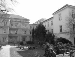 Filozofická fakulta Masarykovy univerzity v Brně, Pelčák a partner architekti, s. r. o., původní stav