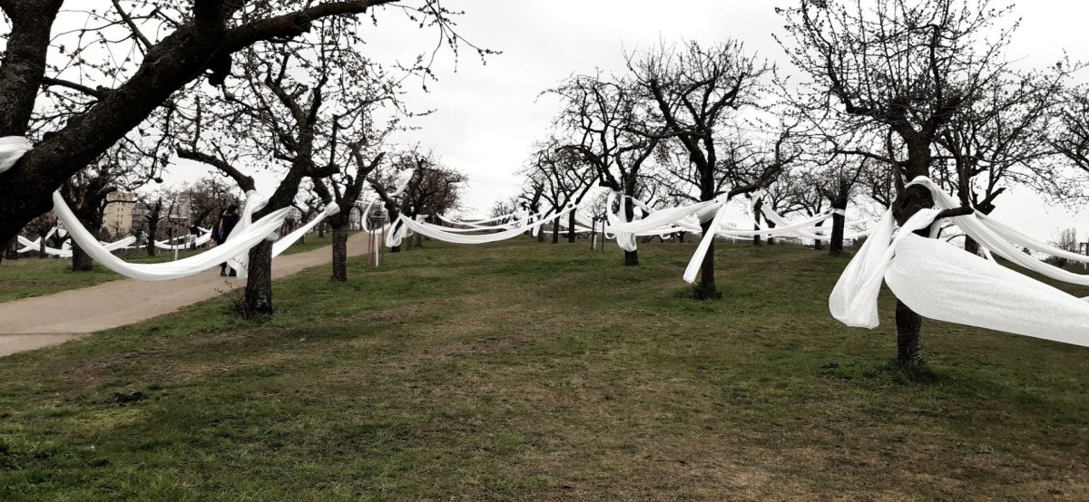 Landartová instalace Třešňovka, Tomáš Kodet.