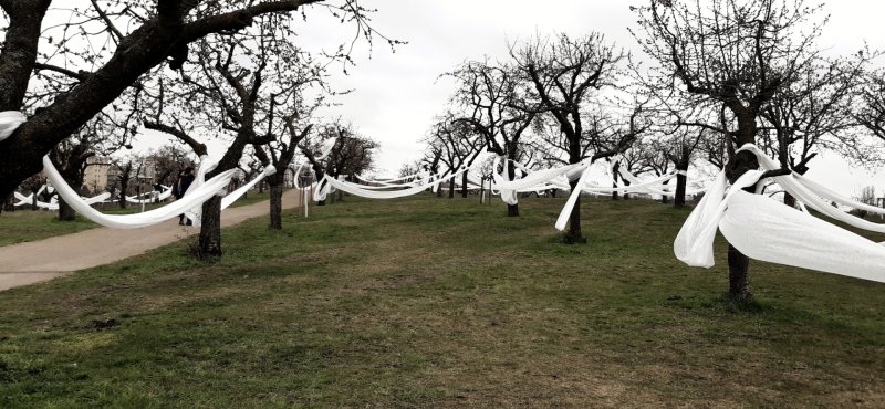 Landartová instalace Třešňovka, Tomáš Kodet.