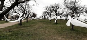Landartová instalace Třešňovka, Tomáš Kodet.