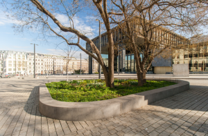 Krajinářský architekt Ondřej Fous pohovoří o realizaci veřejného prostoru Národního muzea v Praze, na kterém se podílel.