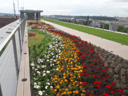 Střecha Národního zemědělského muzea, Ateliér Kročák - Architekt