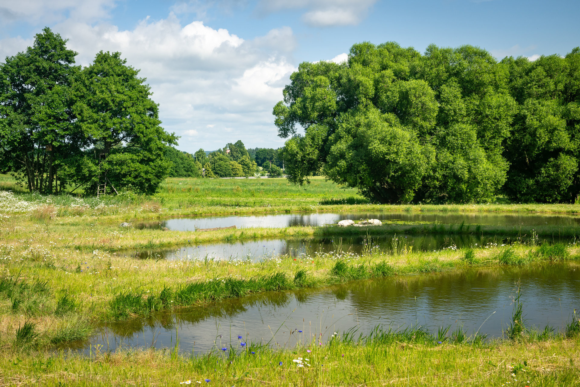 Finalista 2025 kategorie Krajina – Revitalizační opatření Pod Jasankou
