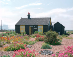 Derek Jarman, Prospect Cottage Garden at Dungeness, Kent, UK, from 1986