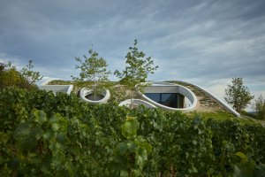 Vinařství Gurdau v Kurdějově od Aleše Fialy: „Umístění objektu ve volné krajině s sebou pochopitelně přineslo vysoké nároky na architektonické a krajinářské začlenění. Na krajinný kontext reagujeme formou mírného oblouku – vlny v krajině, pahorku mezi pahorky,“ popisuje Aleš Fiala