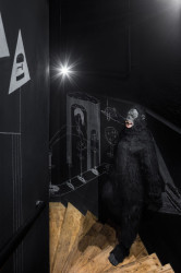 Mjölk architekti, Chicago grill, foto