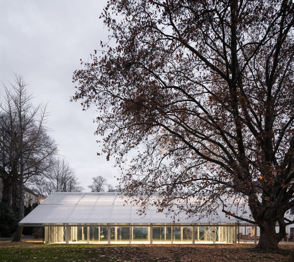 Architekti ze studia Chybík + Krištof obnovili slavný Mendelův skleník v Brně