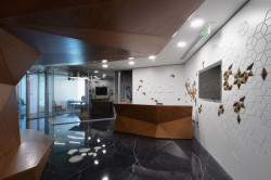 M+N Architecture, Viola Communications Office - foto