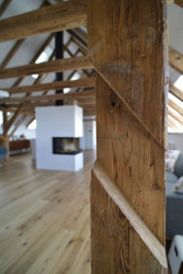 Rekonstrukce půdy, 3+1 architekti