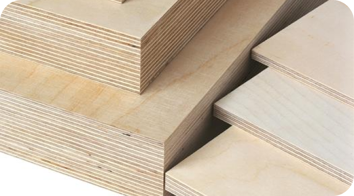 Březová překližka od Plygroup