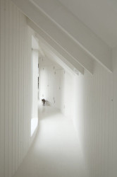 Tree House, 6a architects