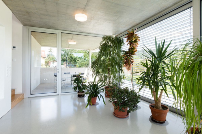 Rodinný dům v Brně, KAMKAB!NET, foto