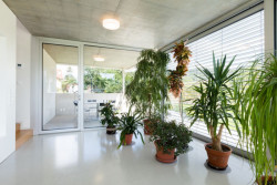 Rodinný dům v Brně, KAMKAB!NET, foto