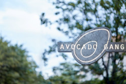Restaurace Avocado Gang, Mimosa architekti
