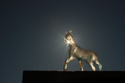 Stanislav Libenský Award 2016, Ebibi Salomee, 3. místo – foto