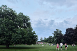 Jeden z nejnavštěvovanějších pražských parků (Obnova Riegrových sadů, Matouš Jebavý)