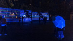 K. Malejka & J. Slugocki, Horizontal Interference - foto