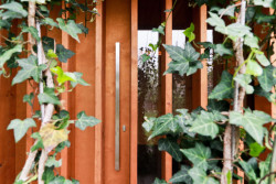 Lamely jsou doplněny popínavými rostlinami, a tak celá sauna splývá s okolní zahradou. (Sauna, Adam Lukačovič)