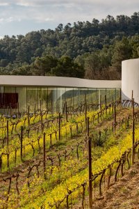 Pavilon podle návrhu Oscara Niemeyera v Provence