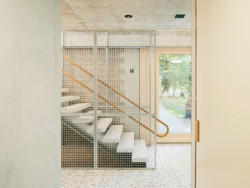 Sprössling, Marazzi Reinhardt