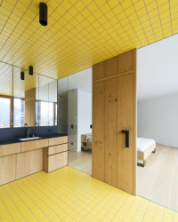 Vila P, Bergmeisterwolf